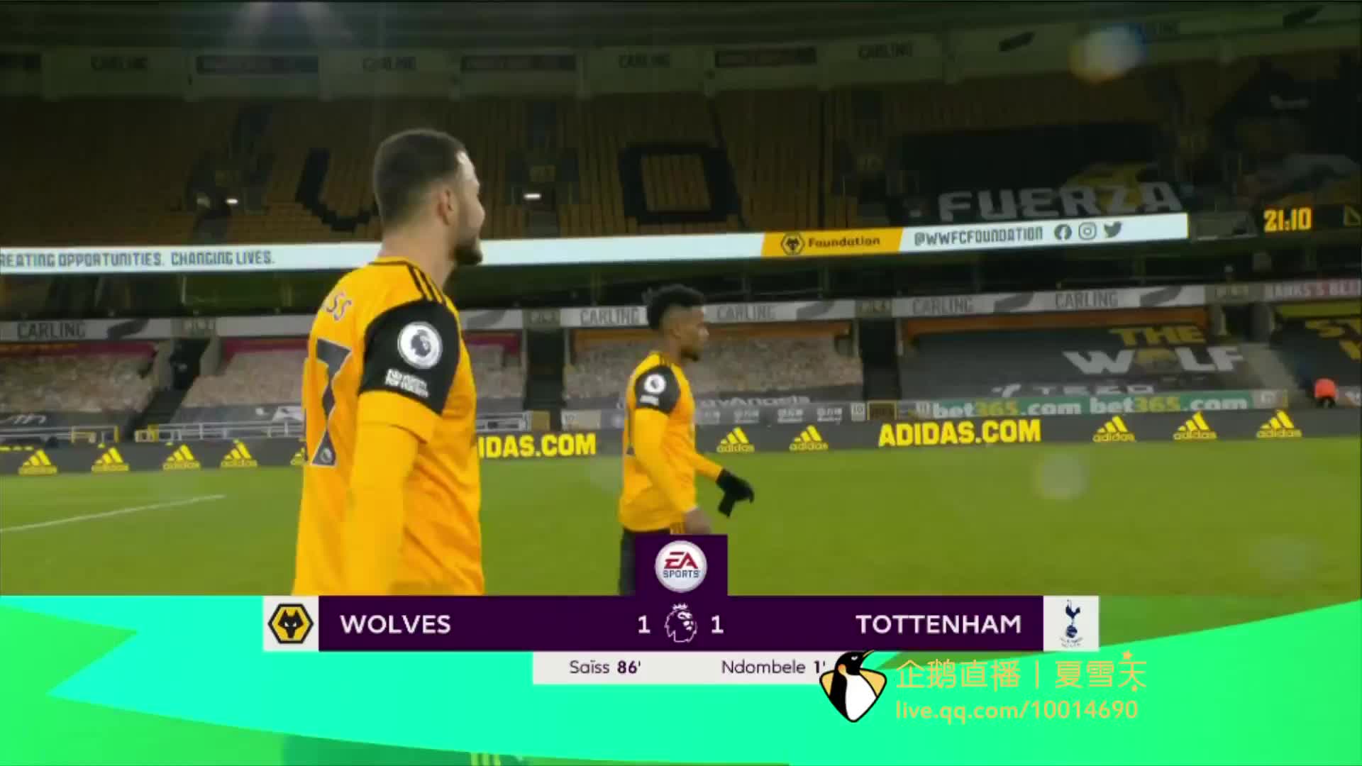 教练和球员 教练和球员